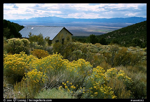 Sage in bloom and cabin, Snake Range. Nevada, USA (color)