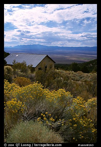 Sage in bloom and cabin, Snake Range. Nevada, USA (color)