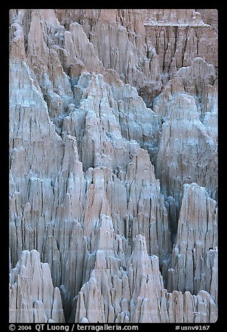 Shale and mudstone eroded in fantastic shapes, Cathedral Gorge State Park. Nevada, USA