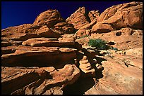 Red sandstone formations, Red Rock Canyon. Red Rock Canyon, Nevada, USA ( color)