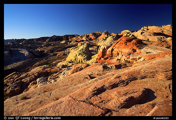 Colorful sandstone formations, early morning, Valley of Fire State Park. Nevada, USA (color)