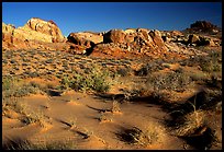 Sand ripples and rock formations, Valley of Fire State Park. Nevada, USA (color)