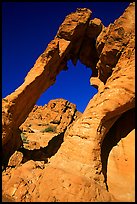 Rock with elephant shape, Valley of Fire State Park. Nevada, USA ( color)