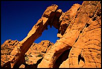 Elephant-shaped rock, Valley of Fire State Park. Nevada, USA ( color)