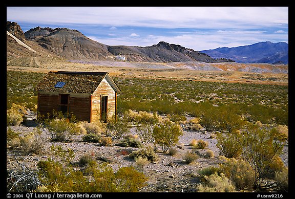 Cabin, Rhyolite ghost town. Nevada, USA