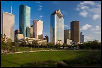 Lawn and Skyline District. Houston, Texas, USA ( color)