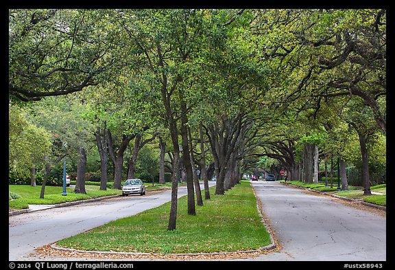 South Boulevard. Houston, Texas, USA (color)