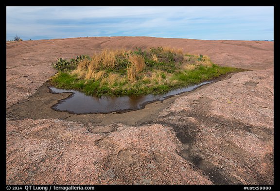 Potholes and vegetation on Enchanted Rock. Texas, USA (color)