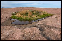 Potholes and vegetation on Enchanted Rock. Texas, USA ( color)