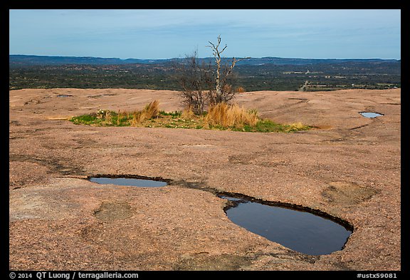 Potholes and trees on top of Enchanted Rock. Texas, USA (color)