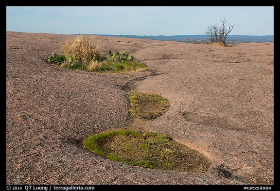 Vegetation amidst bare granite, Enchanted Rock. Texas, USA (color)