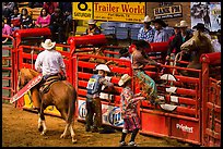 Gates, Stokyards Rodeo. Fort Worth, Texas, USA ( color)