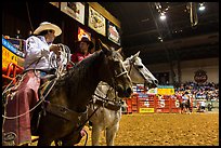 Men riding horses holding lassos. Fort Worth, Texas, USA ( color)