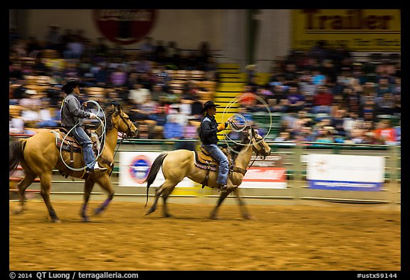 Men on horses preparing lassos. Fort Worth, Texas, USA (color)