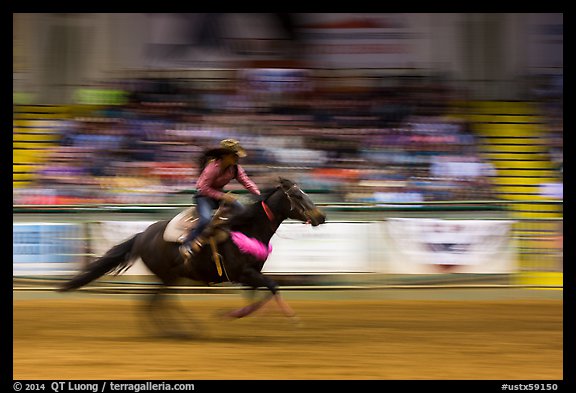 Woman riding horse in speed contest, Stokyards Championship Rodeo. Fort Worth, Texas, USA (color)