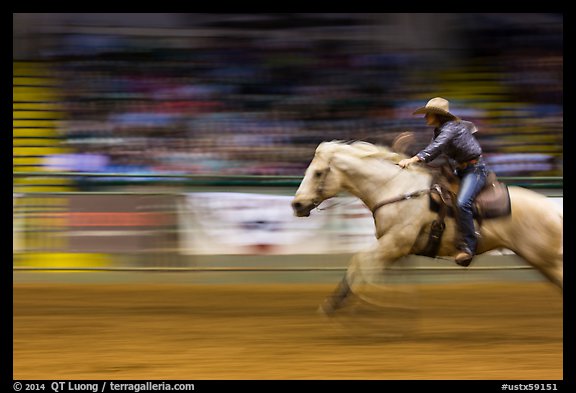 Woman on galloping horse, Stokyards Championship Rodeo. Fort Worth, Texas, USA (color)
