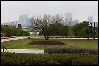 Fort Worth skyline from sculpture garden of Ammon Carter Museum. Fort Worth, Texas, USA ( color)