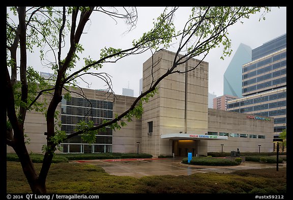 Dallas Museum of Art. Dallas, Texas, USA (color)