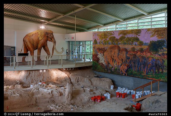 Dig shelter with life-size mammoth painting. Waco Mammoth National Monument, Texas, USA