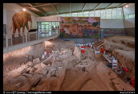 Dig shelter. Waco Mammoth National Monument, Texas, USA (color)