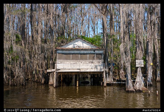 Dick Charlie Tea Room, Caddo Lake. Texas, USA (color)