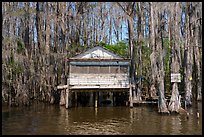 Dick Charlie Tea Room, Caddo Lake. Texas, USA ( color)