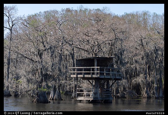 Treehouse, Caddo Lake. Texas, USA (color)