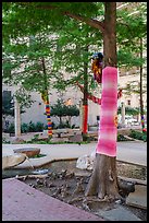 Main Street Civic Garden. Dallas, Texas, USA ( color)