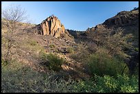 Desert canyon with volcanic rock outcrops, dry brush, Davis Mountains State Park. Texas, USA ( color)