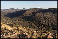 Open desert valley from a rocky overlook, bare tree in the foreground, Davis Mountains State Park. Texas, USA ( color)
