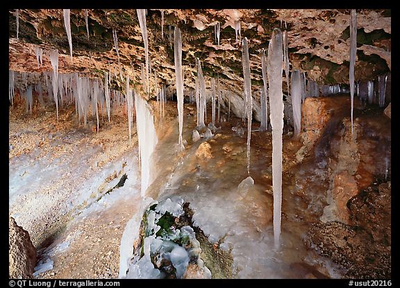 Stalactities in Mossy Cave. Bryce Canyon National Park (color)