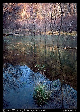 Calf Creek Canyon and reflections. Utah, USA