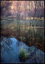 Calf Creek Canyon and reflections. Grand Staircase Escalante National Monument, Utah, USA ( color)