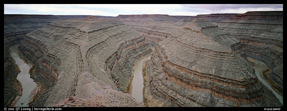 Goosenecks. Bears Ears National Monument, Utah, USA (color)