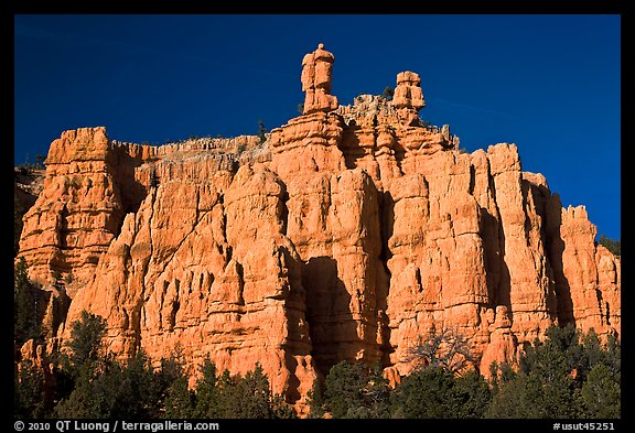 Pink sandstone cliffs, Red Canyon. Utah, USA