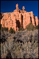 Sagebrush and pink cliffs, Red Canyon. Utah, USA