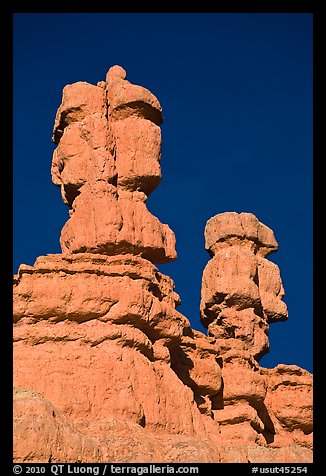 Hoodoos, Red Canyon, Dixie National Forest. Utah, USA (color)