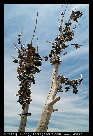 Shoes haning on tree, Highway 50. Nevada, USA (color)