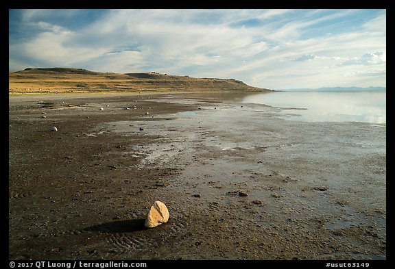 Muddy beach, Antelope Island State Park. Utah, USA (color)