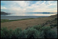 Sagebrush desert and Great Salt Lake from Antelope Island. Utah, USA ( color)