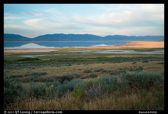 Sagebrush and mountains reflected in Great Salt Lake. Utah, USA (color)