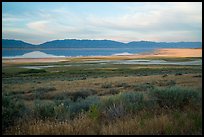 Sagebrush and mountains reflected in Great Salt Lake. Utah, USA ( color)