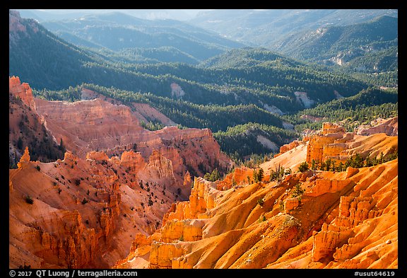 Eroded ridges and forest. Cedar Breaks National Monument, Utah, USA (color)