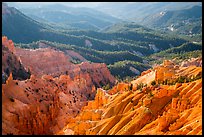 Eroded ridges and forest. Cedar Breaks National Monument, Utah, USA ( color)