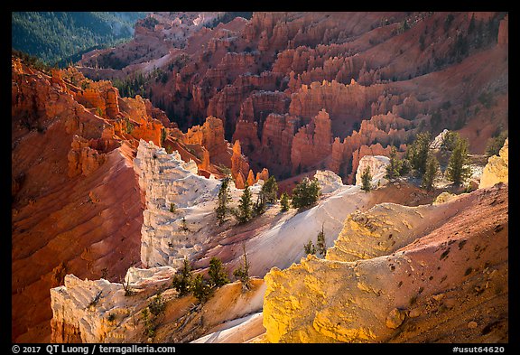 Colorful eroded rocks. Cedar Breaks National Monument, Utah, USA (color)