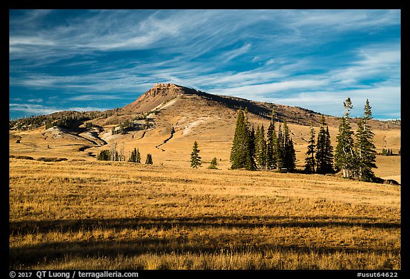 Brian Head. Cedar Breaks National Monument, Utah, USA (color)