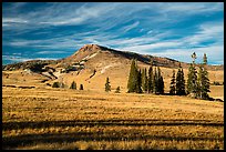 Brian Head. Cedar Breaks National Monument, Utah, USA ( color)