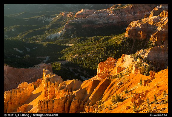 Hoodoos overlooking deep amphitheater. Cedar Breaks National Monument, Utah, USA (color)