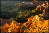 Hoodoos overlooking deep amphitheater. Cedar Breaks National Monument, Utah, USA ( color)