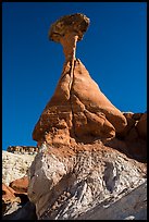 Toadstool hoodoo, Rimrocks. Grand Staircase Escalante National Monument, Utah, USA ( color)